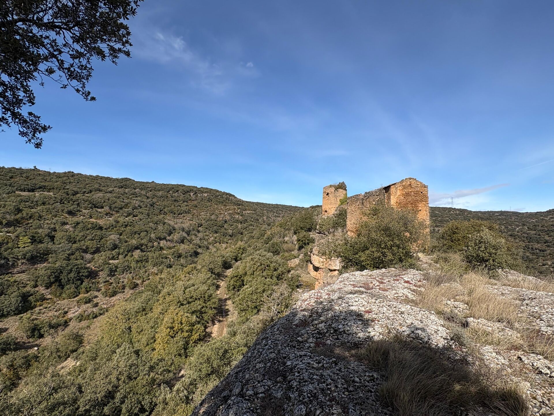 Carena de Comiols amb les restes del castell